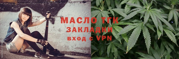 гидра Наволоки