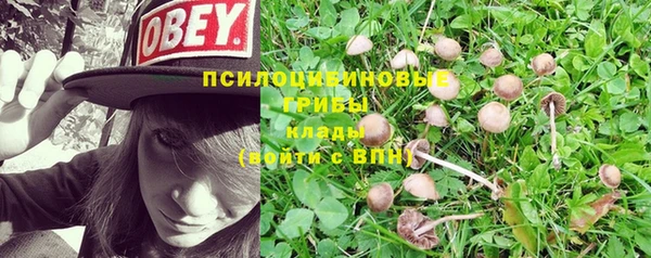 дурь Вязники